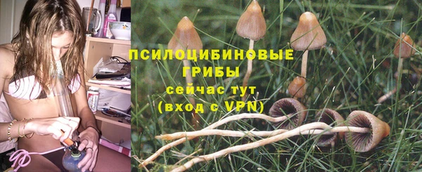 эйфоретик Кинешма