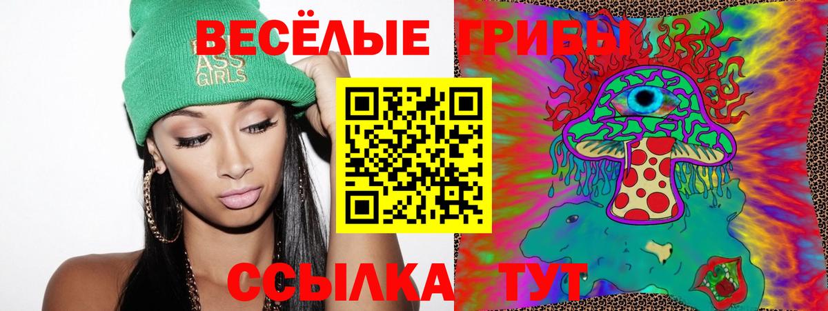 Псилоцибиновые грибы GOLDEN TEACHER  наркота  Псилоцибиновые грибы Cubensis  Череповец 